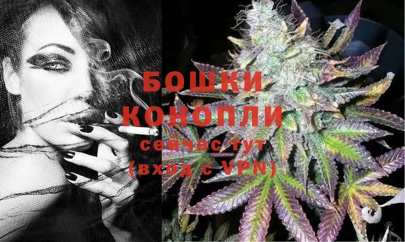 Бошки Шишки THC 21%  Гвардейск 